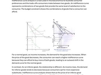 A Level 9708 Unit 7 Essay 20 Marker: Free Sample