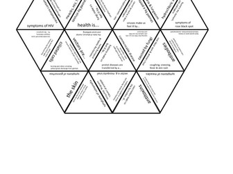 B3 Infection & response tarsia puzzle