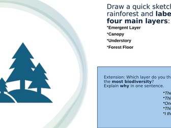 Indonesia and Palm Oil Part 2