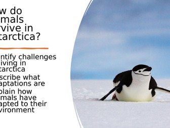 Animal Adaptations - Antarctica