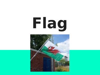 Flag  - Owen Sheers