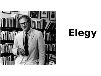 Elegy - Seamus Heaney