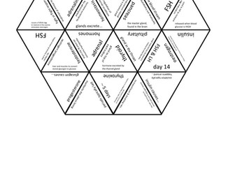 B5 Hormones tarsia puzzle