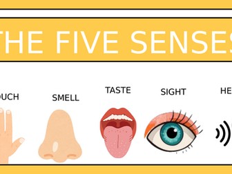 Our 5 senses PPT