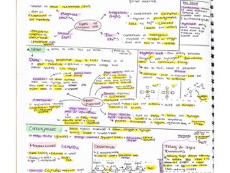 AS LEVEL ONLY - Biology Revision Pack