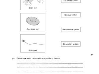 Paper 1 - GCSE Biology (Combined) FT - PREDICTION FOR 2026