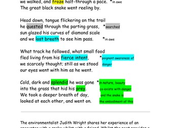 "Hunting Snake" iGCSE English Literature poetry analysis