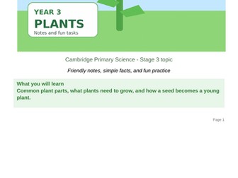 PLANTS-YEAR 3