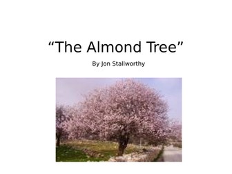The Almond Tree - line by line poetry analysis