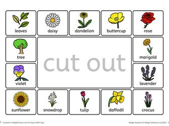 Flowers Visual Communication Board