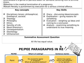 RE Y9 Scheme How valuable is human life?