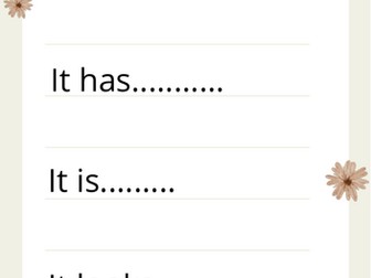 Sentence openers EYFS