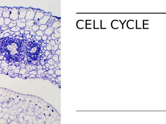 Human Cell Biology - Cell Cycle