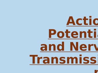 Nervous System - Nerve Transmission