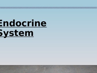 Endocrine System - Introduction