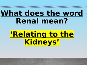Urinary System - Lesson 1