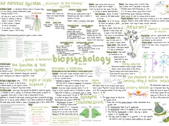 aqa a-level psychology - paper 2: biopsychology mindmap