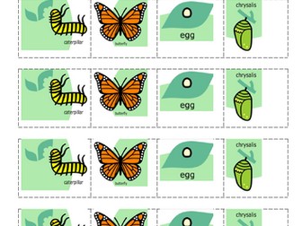 All about your senses.