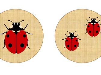 Minibeast doubles 1-5 circle cards