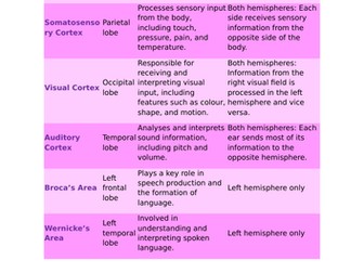 Localisation of Function & Hemispheric Laterlisation - BioPsycholology - A Level Psychology AQA