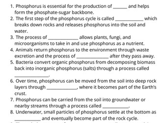 Phosphorus Cycle Worksheet