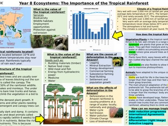 Knowledge Organiser KS3: Tropical Rainforest topic