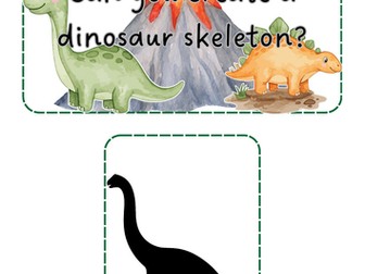 Dinosaurs - Skeletons