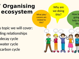 B17 Organising an ecosystem AQA TRIPLE Biology