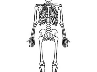 Edexcel - Medical Science Btec - Unit 1 - Topic C - Revision
