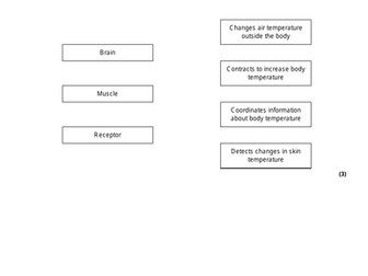 Paper 2 - AQA GCSE Combined Science - Biology FT (Combined) PREDICTION FOR 2026