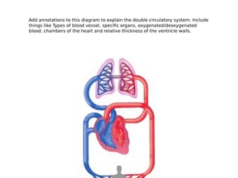 Edexcel - Medical Science Btec - Unit 1 - Topic D -  Revision