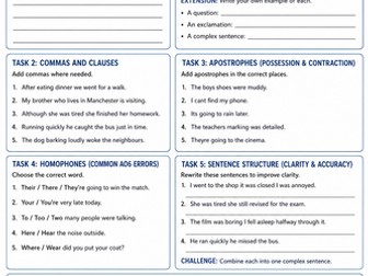 GCSE English Language AO6 Grammar Worksheet (Spelling, Punctuation & Grammar)