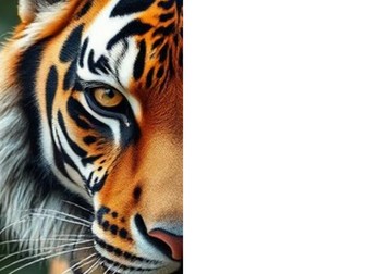 Half-Half Symmetry Animal Portraits