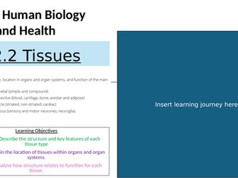 AAQ Health and Social Care Unit 2 Human Biology and Health  2.2 Tissues