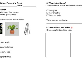 Year 1 Science: Plants and Trees Lesson 1 Worksheets
