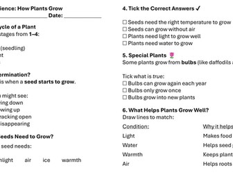 Year 1 Science: How Plants Grow Lesson 3