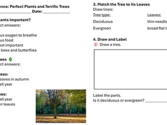 Year 1 Science: Perfect Plants and Terrific Trees Lesson 5