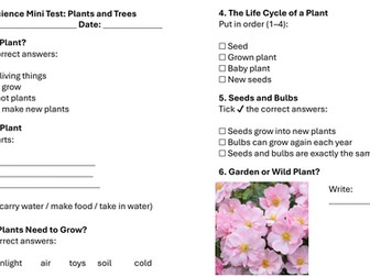 Year 1 Science Mini Test: Plants and Trees