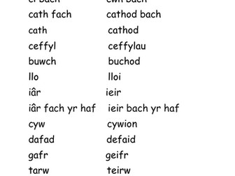 GEIRFA BLWYDDYN 4 CYMRAEG IAITH GYNTAF: anifeiliaid a'u lluosog