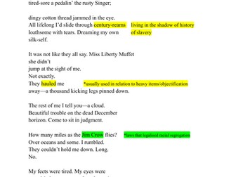 "Miz Rosa Rides the Bus" English GCSE poetry analysis