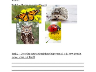 Peter and the Wolf - Composition Worksheet