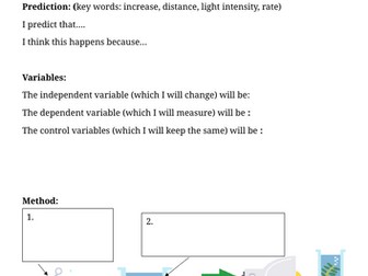 Rate of photosynthesis differentiated write up