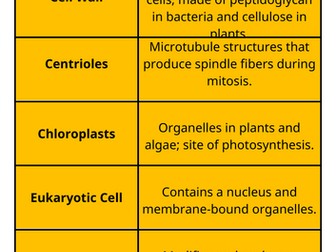 A-level Biology edexcel Topic 2 Cell, viruses and reproduction keyword card sort
