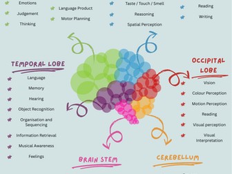 Function of the Brain — SLT Poster