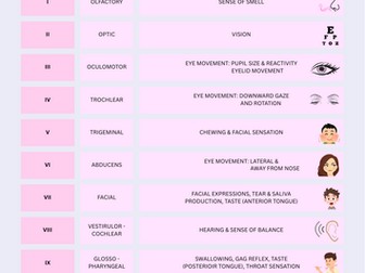 Cranial Nerve Chart — SLT Reference