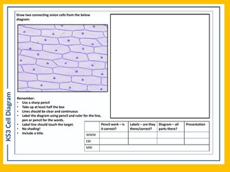 KS3 Science Skills Task - Cell Diagram A