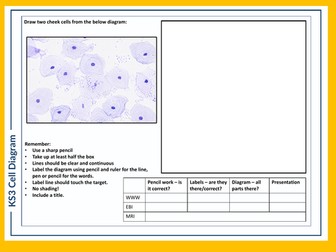 KS3 Science Skills Task - Cell Diagram B