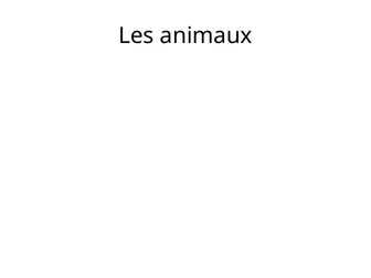 French animal powerpoint for key stage 2 learners.