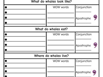 Year 2 Non-Chronological Report Plan (Whales)