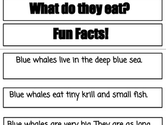 Year 2 Non-chronological report Subheading matching